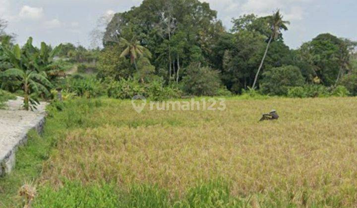 Dijual tanah los sungai dan view sawah lokasi nyanyi 2