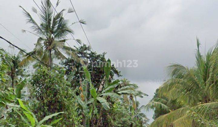 Dijual tanah kebun lokasi tukadaya jembrana 1