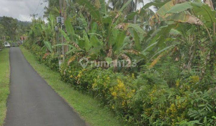 Dijual tanah kebun lokasi tukadaya jembrana 2