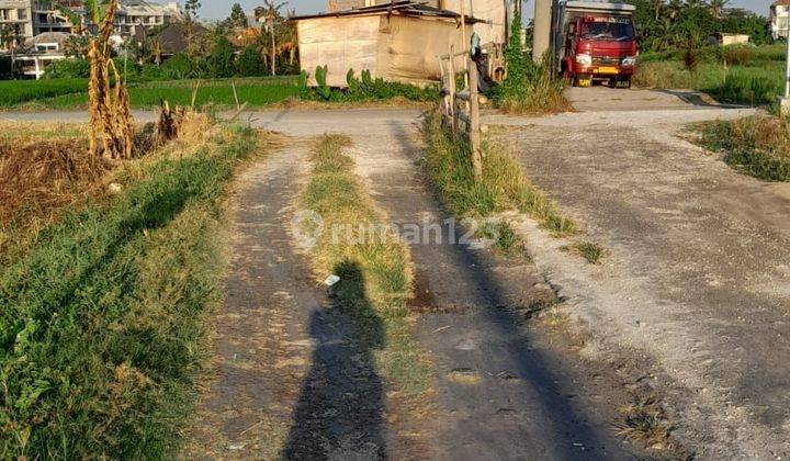 Disewakan Tanah Dekat Pantai Lokasi Jalan Babadan Pererenan 2