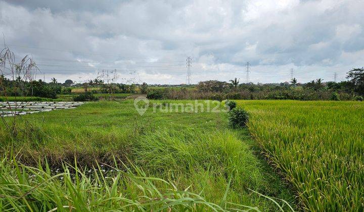 Land for sale at the location of Belulang Kerambitan, Tabanan, Bali 2