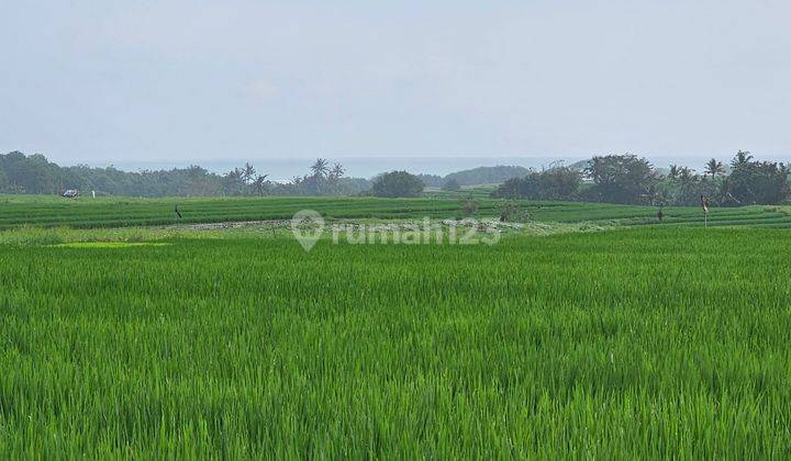 Land for sale with view and mountain beach location in Kelating 2