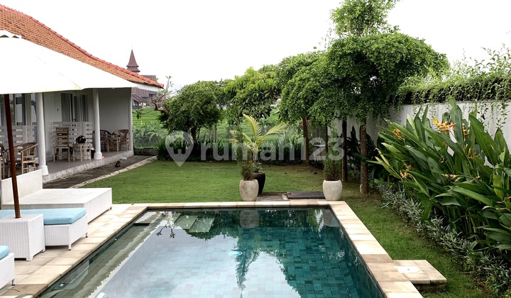 Di Jual Guesthouse Location Subak Daksina Babakan Canggu Di Jual Guesthouse Location Subak Daksina Babakan Canggu