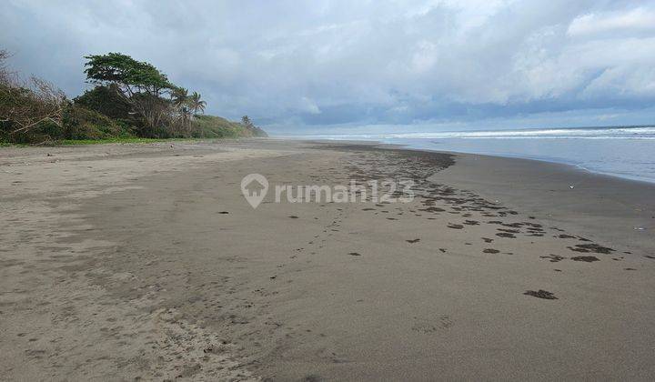 Land for sale in the Pengyangan Pekutatan Jembrana Bali area 1