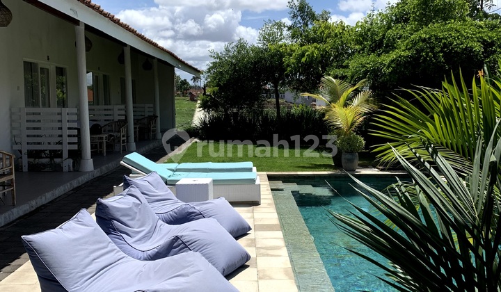 For Sale Guesthouse Location Subak Daksina Babakan Canggu 2