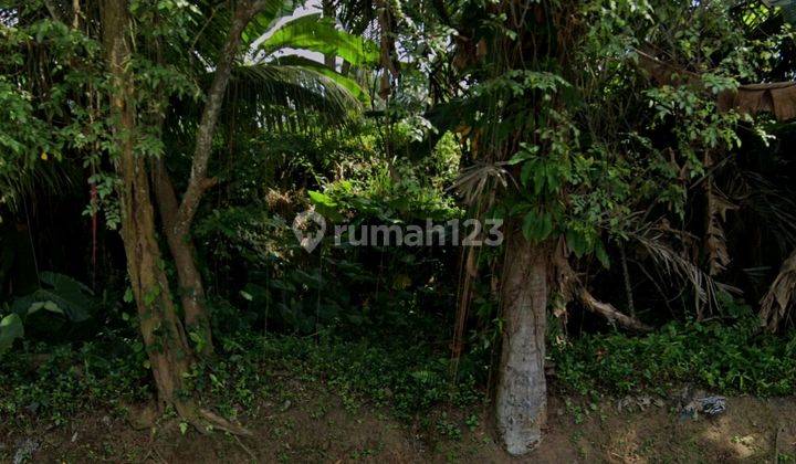 Dijual Tanah Lokasi Pejeng Tampaksiring Gianyar Bali 2