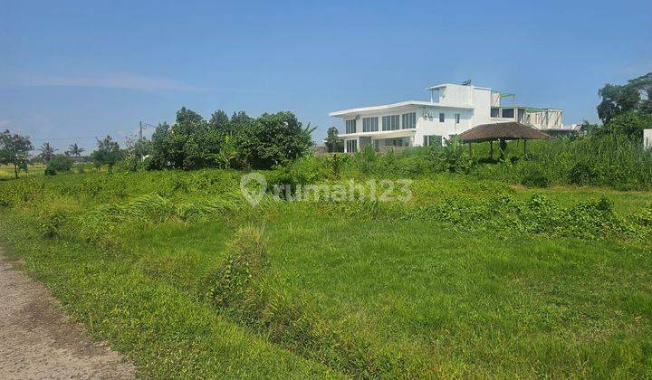 Land for sale near the beach, Kedunggu beach road location 2