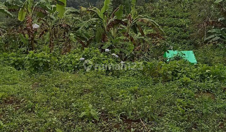 Dijual tanah butuh uang cepat lokasi munduk bulleleng bali 1