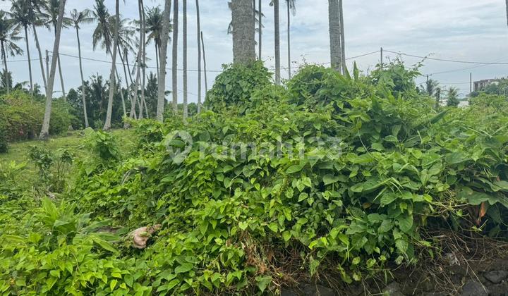 Disewakan Tanah Dekat Pantai Kedungu, Belalang