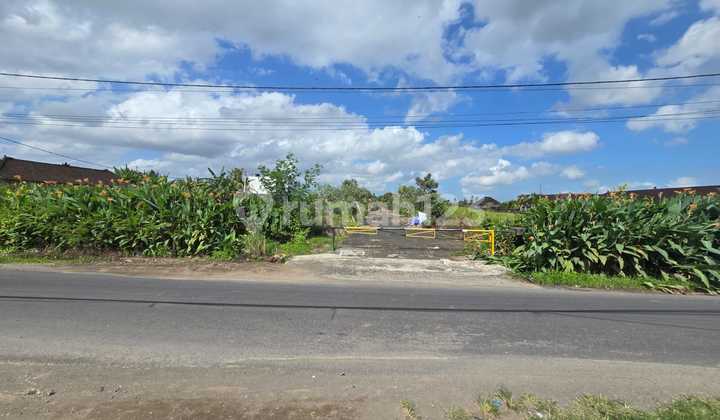 Dijual Tanah Lokasi Kedungu Belalalng Tabanan Bali