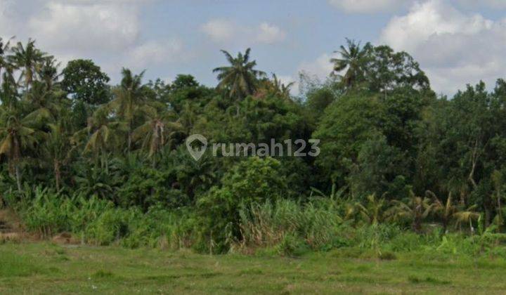 Dijual tanah lokasi nyanyi mengwi badung 2