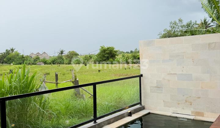 Villa for Sale with Rice Field View in Cepaka Munggu