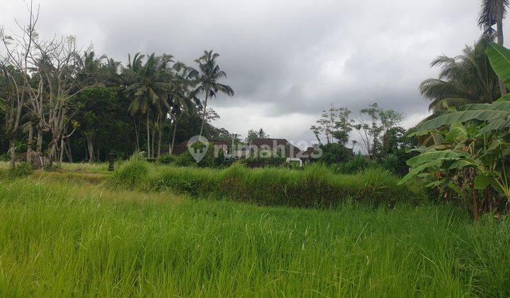 Dijual tanah jalan utama lokasi pejeng kaja tampaksiring 1