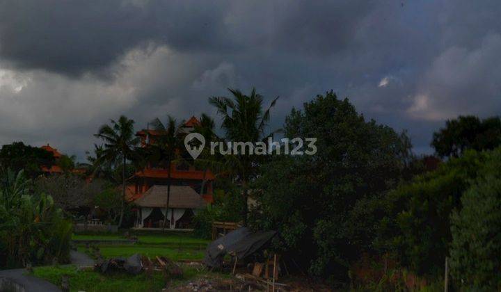 Disewakan Tanah Los Sungai Lokasi Monkey Forest Ubud 2