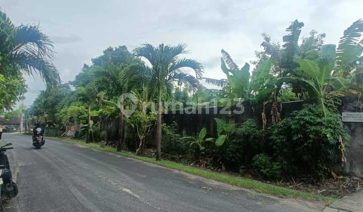 For Sale Land Main Road Location Kayu Tulang Babakan Canggu