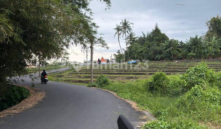 Di Jual Murah Tanah Dekat Pantai Pererenan Mengwi Badung Di Jual Murah Tanah Dekat Pantai Pererenan Mengwi Badung