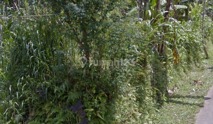 Dijual tanah lokasi angsri baturiti tabanan bali 2