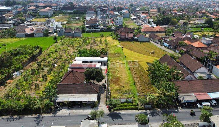 Disewakan Tanah Lokasi Padonan Kuta Utara Badung 1