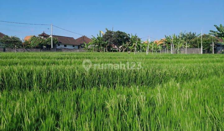 Land for rent in Babakan Canggu area, North Kuta, Badung, Bali 1