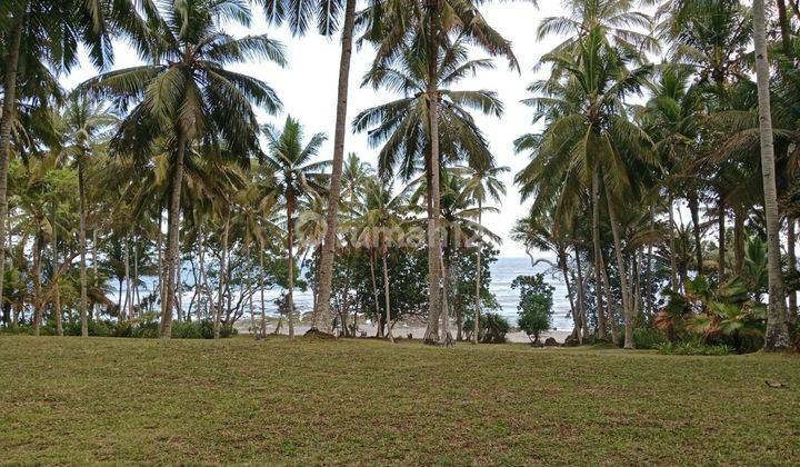 Dijual tanah los pantai lokasi pekutatan jembrana bali 1