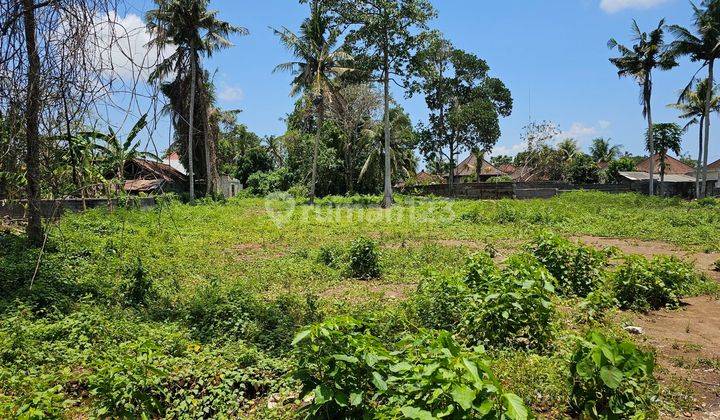 Disewakan tanah lokasi lodtunduh ubud gianyar  2