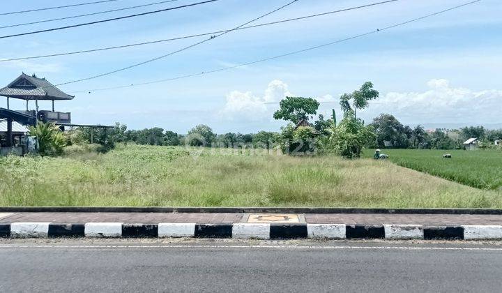 Dijual Tanah Lokasi Jalan Utama Tanah Lot Tabanan Bali 2