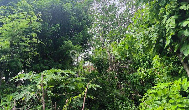 Land for sale near the beach, Ungasan location, Belimbing Sari road 2