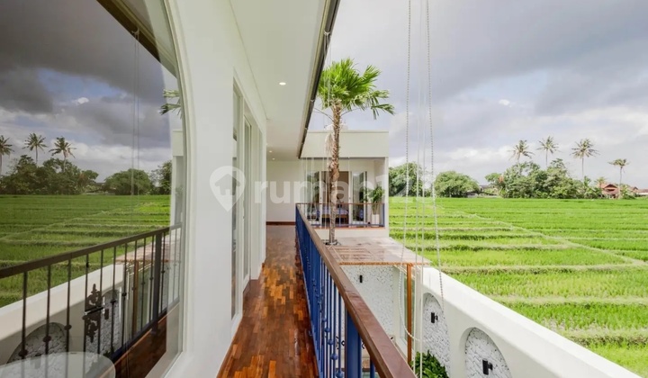 Brand New Villa with Rice Field View in Kedungu, Tabanan