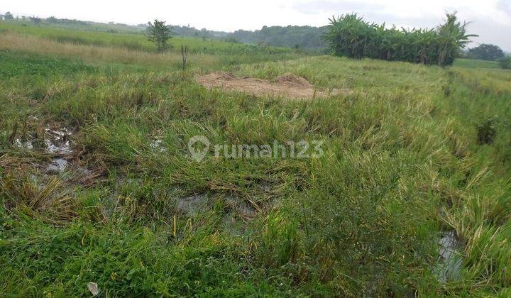 Dijual tanah lokasi kelating Kerambitan tabanan bali 1