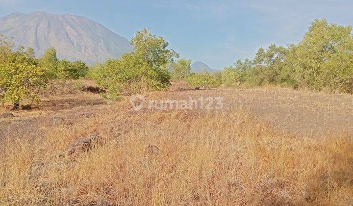 Land for sale with a view of Mount Agung, located in Suka Dana Kubu Village 1