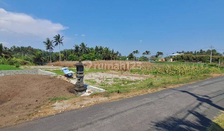 For sale land los river location pasut tibu biyu tabanan 1