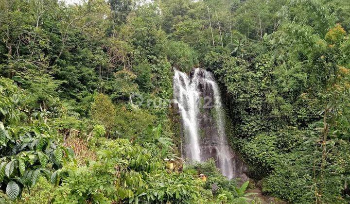 Land for sale with waterfall view, Munduk Buleleng, Bali 1