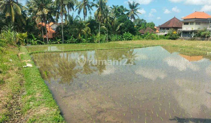 Land for rent located in Bisma Ubud Gianyar Bali 1