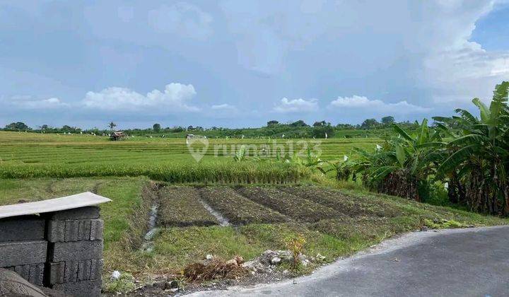 Dijual tanah lokasi tumbak bayuh pererenan mengwi 2