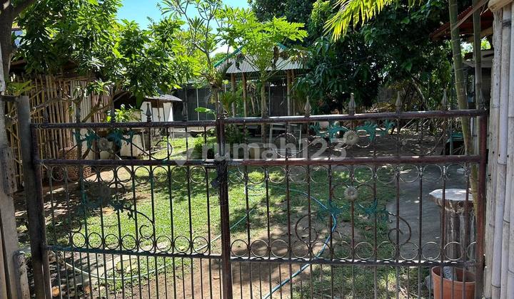 Dijual Tanah Bonus Bangunan Kos Lokasi Sedap Malam Denpasar Selatan