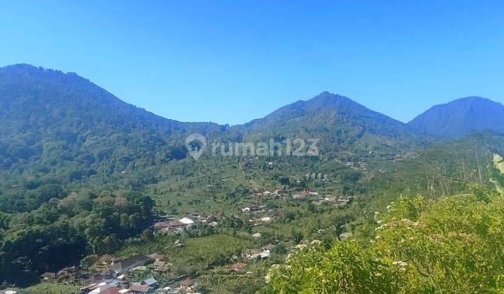 Land for sale in Munduk Bulelelng Bali 1