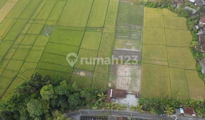 Land for Sale Near Beach Location - Kelating, Kerambitan Land for Sale Near Beach Location - Kelating, Kerambitan
