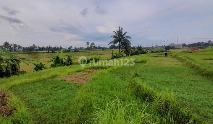 Dijual tanah View Sawah lokasi nyanyi tabanan bali 2