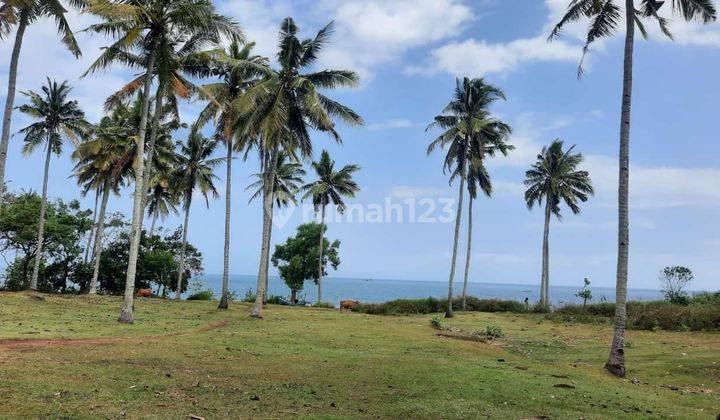 Beachfront land for sale in Cupel Negare Jembrana 1