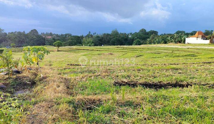 Land for sale with rice field view, Cemagi Mengwi Badung location 2