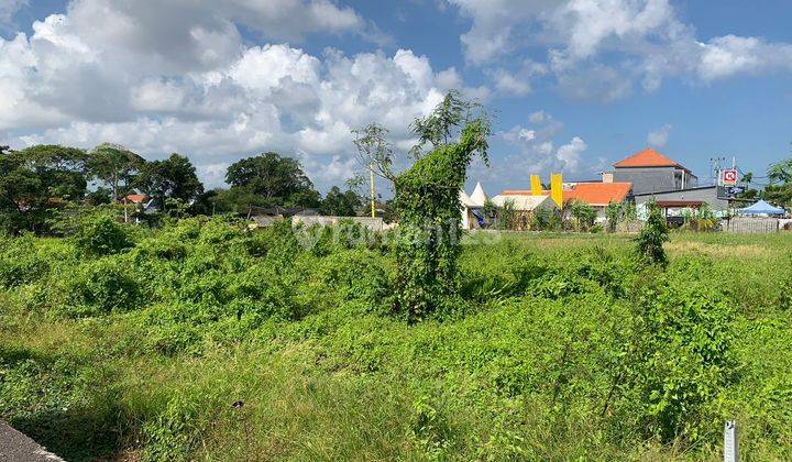 Disewakan tanah Jalan Utama lokasi canggu batu bolong kuta utara 2