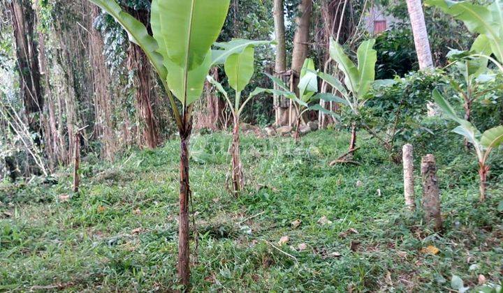 Dijual Tanah Los Sungai Ayung Lokasi Semana Mambal Abiansemal 2