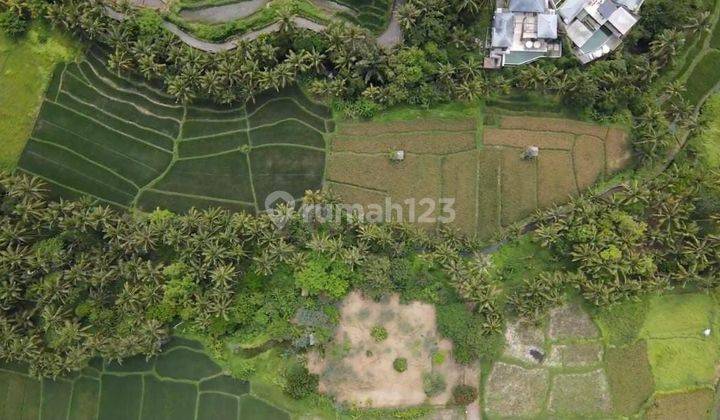 Land for sale with a view of the river and rice paddies located in Lodtunduh Ubud 2