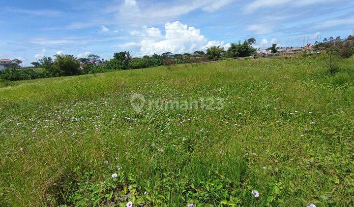 Land for sale near the beach in Seseh Munggu Badung 2