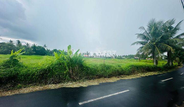 Disewakan tanah lokasi lodtunduh ubud gianyar 2