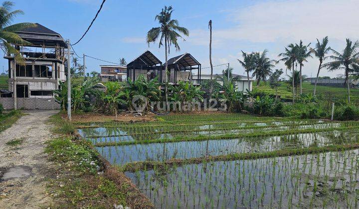 Dijual Tanah View Sawah Lokasi Nyanyi Tabanan 2