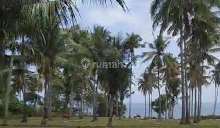 Dijual tanah los pantai lokasi cupel negare jembrana 2