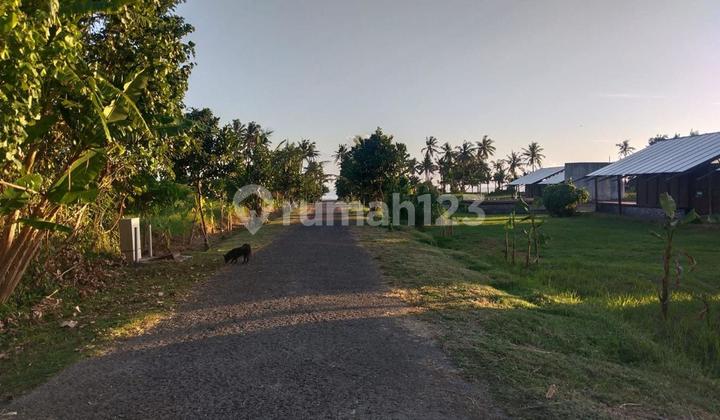 For Sale Beach Land Location Pangkung Tibah, Tabanan