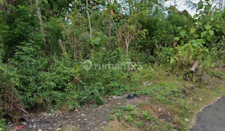 Land for rent in labuan sait pecatu kuta selatan 2