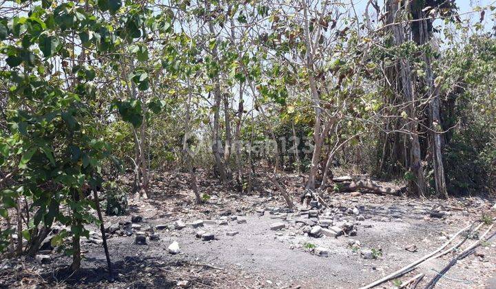 Land for sale near Grand Bali Resort Pecatu 2